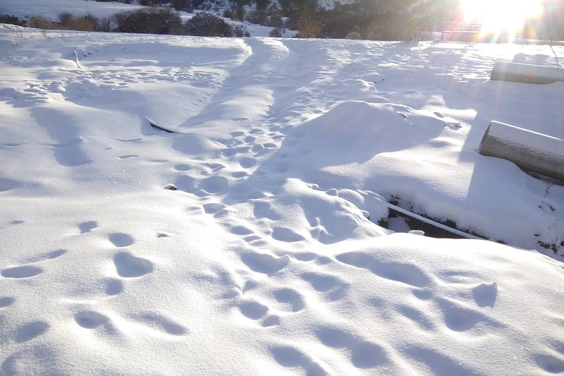 Locals rejoice during snowfall in Gulmi