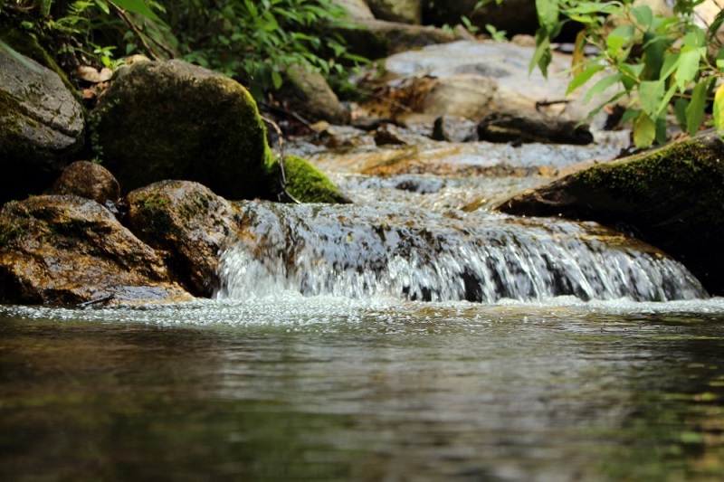 Connect with nature this New Year