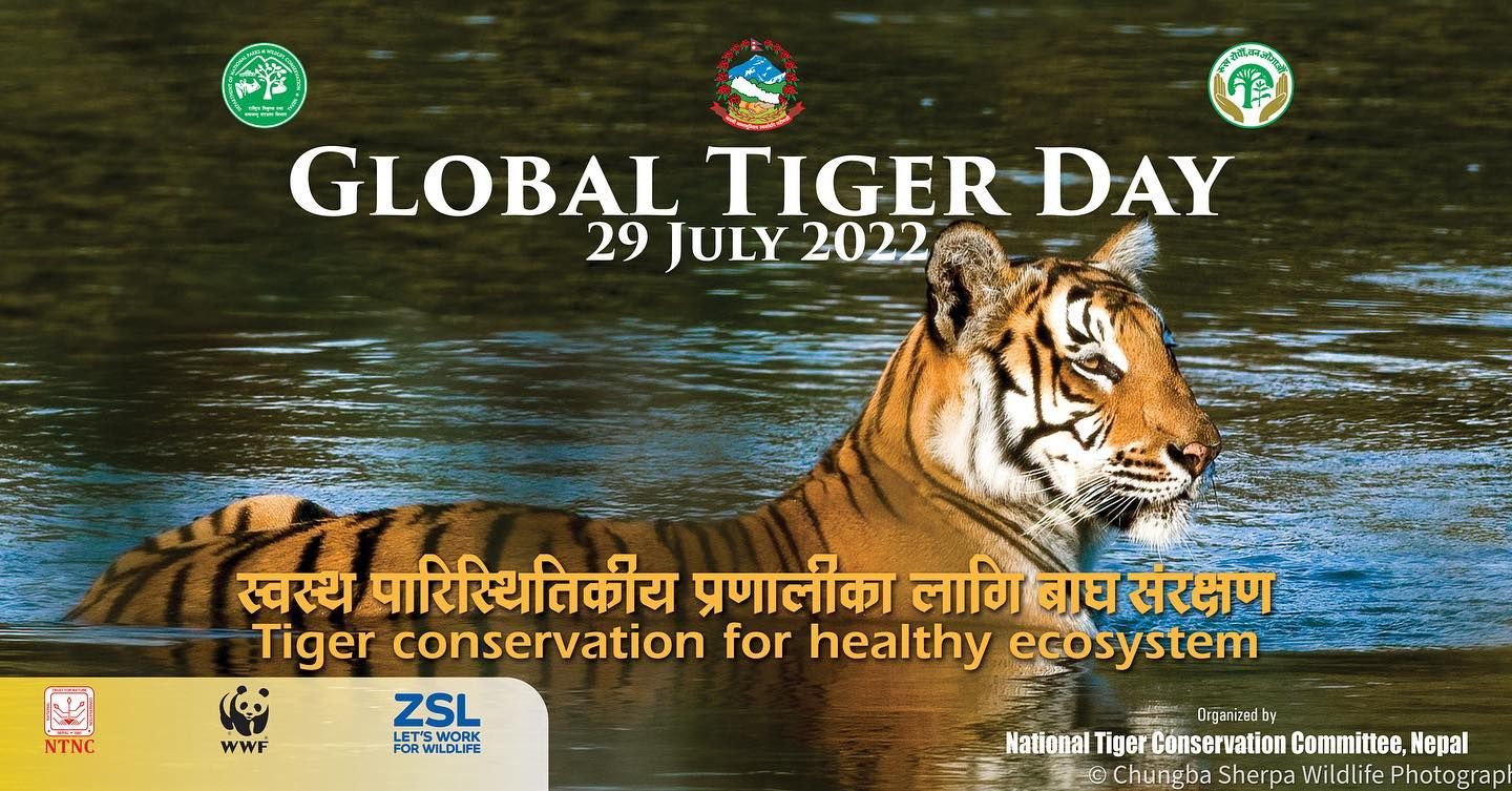 Significant success in increasing the number of tigers