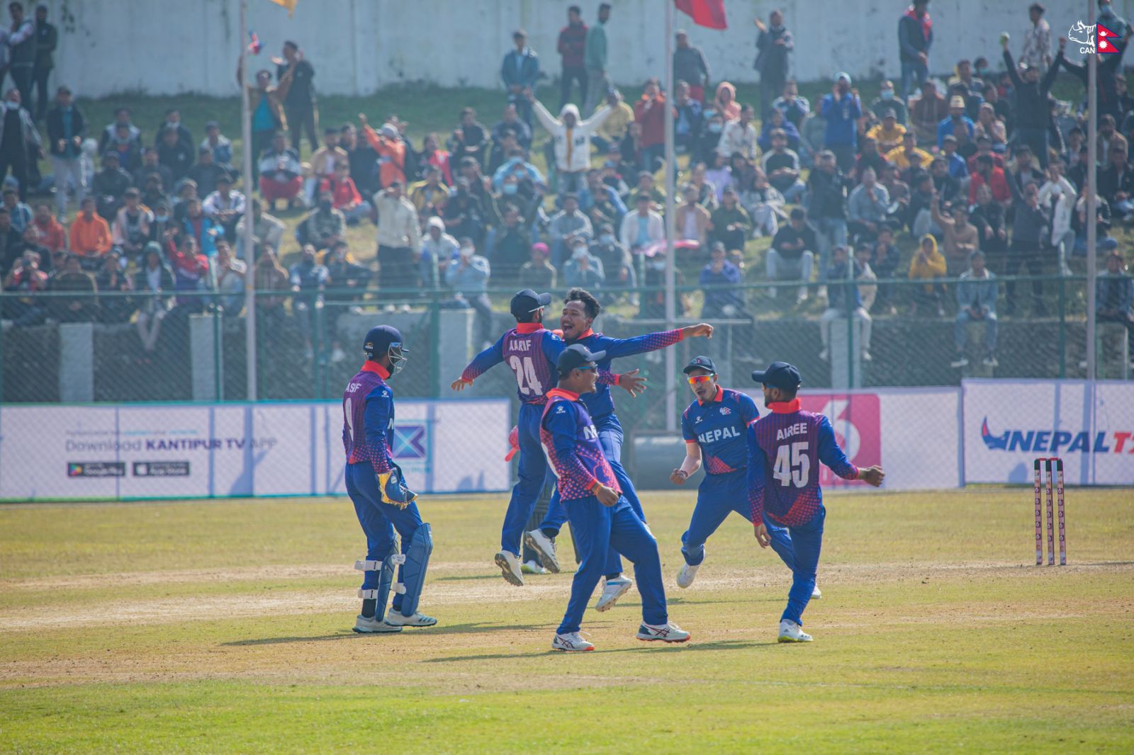 UAE set a target of 177 runs for Nepal