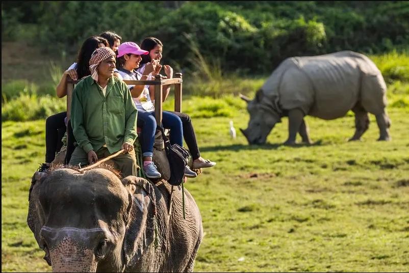 Tourism rate declining in Chitwan