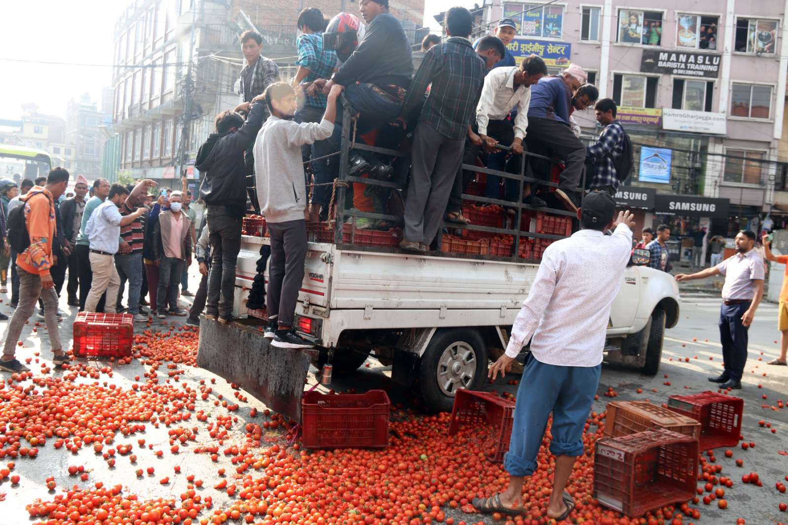 Farmers throw tomatoes on the road