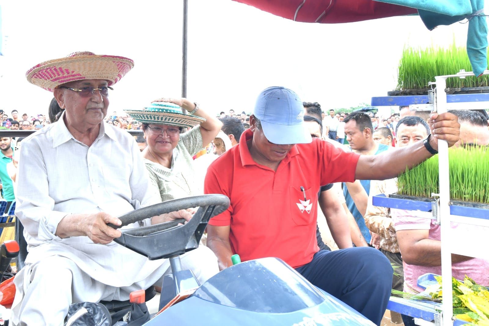 UML President Oli planted paddy in Chitwan