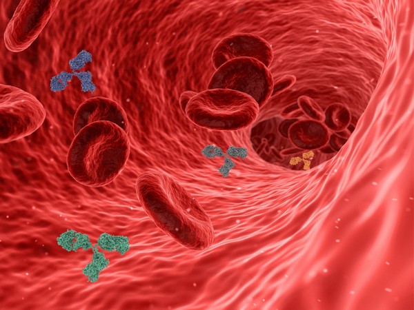 Ageing, hormones, menstruation stiffen blood vessels