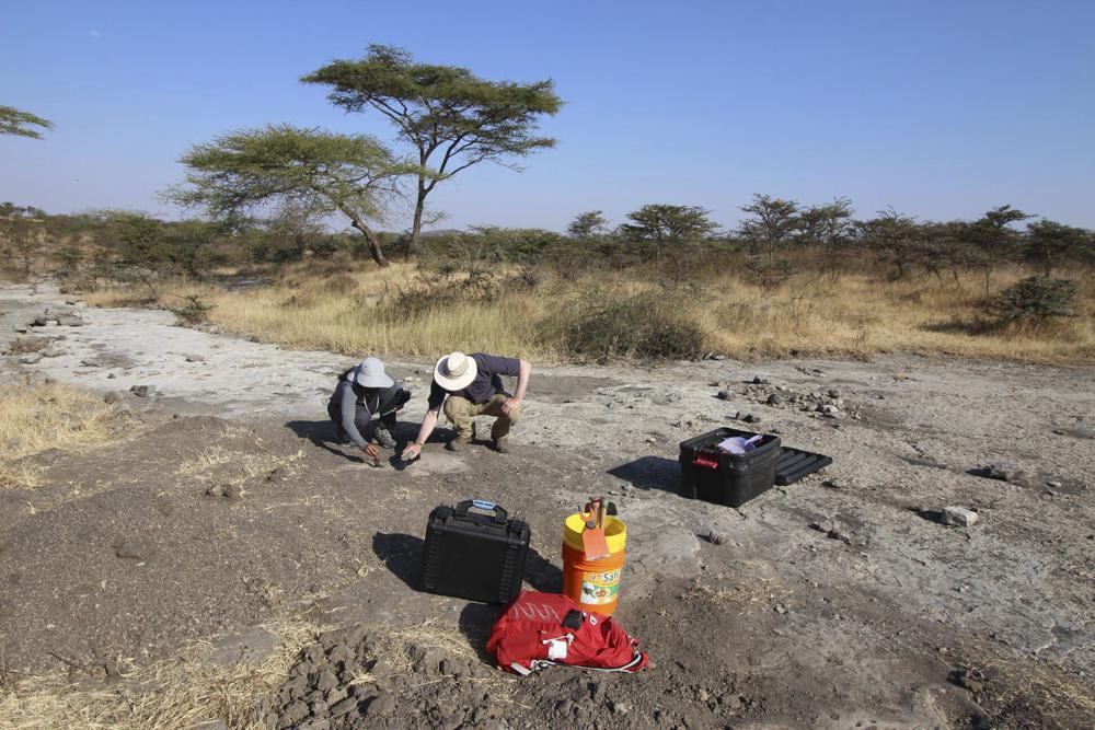 Fossil footprints mystery: Bear or ancient human?