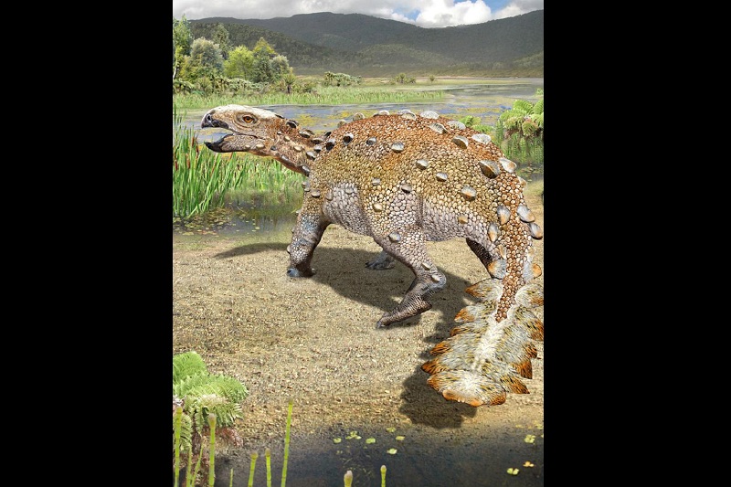 New dinosaur species discovered with slashing tail