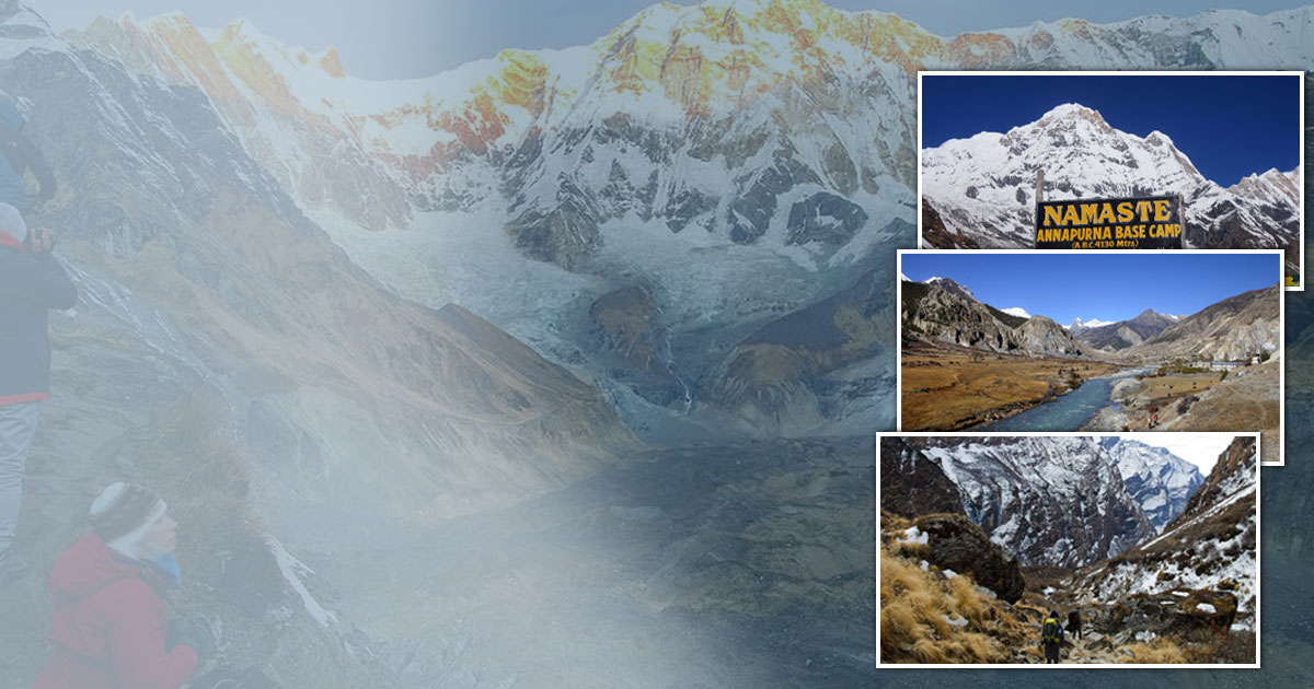 Your Ultimate Guide to the Annapurna Base Camp Trek: What You Need to Know