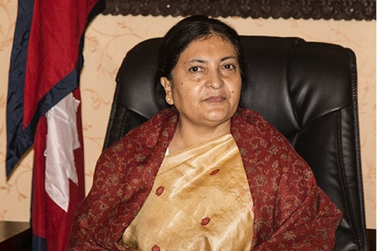 Former President Bhandari pays tribute to martyrs