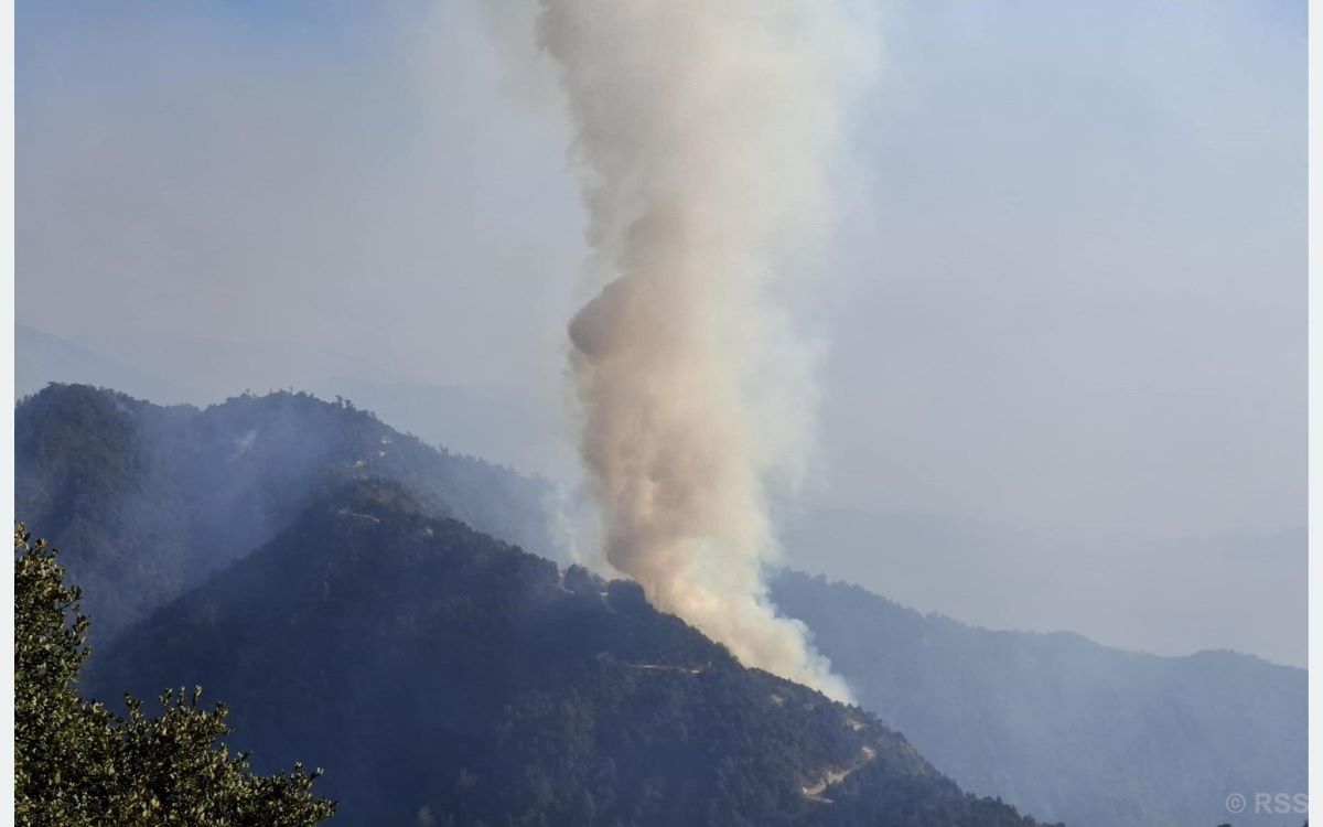 Fire in Mahabharat forest of Kavre still out of control