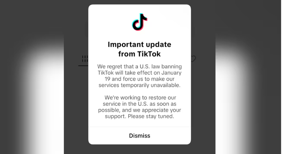 TikTok shuts down US access as Trump seeks app’s reinstatement