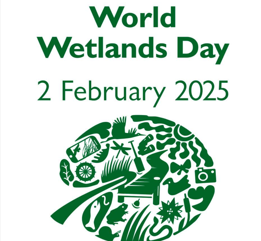 World Wetlands Day observed with focus on conservation