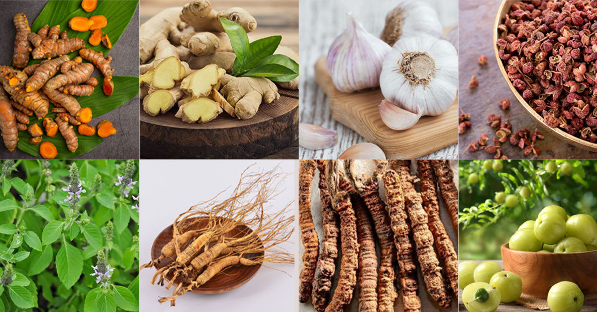 Which Local Herbs and Spices Help Boost Immunity?