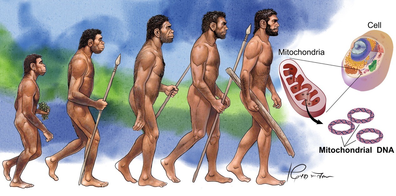 हामी कोही पनि शुद्ध छैनौँ