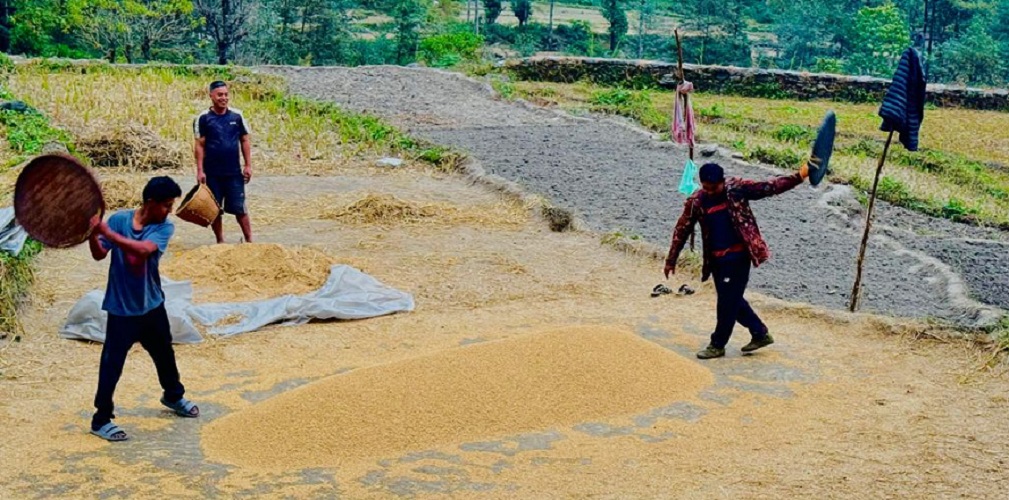 पर्वतमा ६५ करोडको कृषिजन्य वस्तुको कारोबार