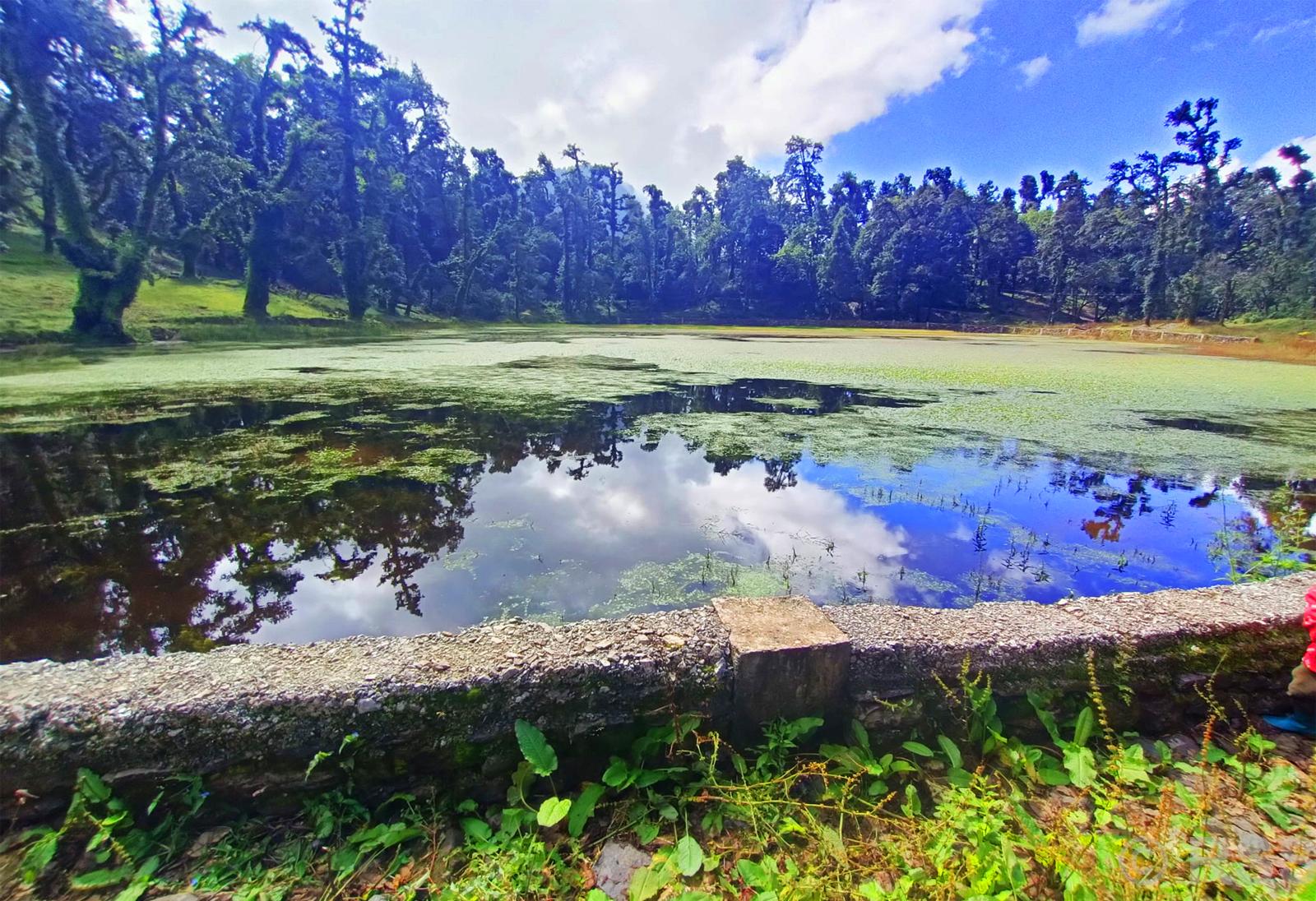 ताल सुक्न थालेपछि संरक्षणको चुनौती बढ्दै