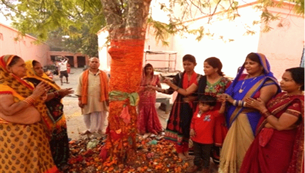 मिथिलामा आज कुष्माण्ड नवमी पर्व मनाइँदै