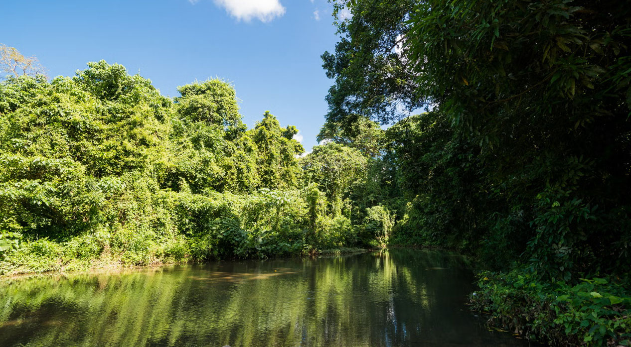 कार्बन उत्सर्जन घटाएपछि नेपालले पायो एक अर्ब ३२ करोड