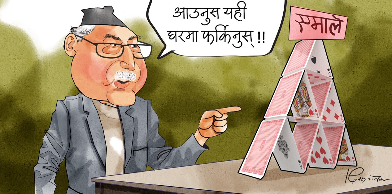 कार्टुन