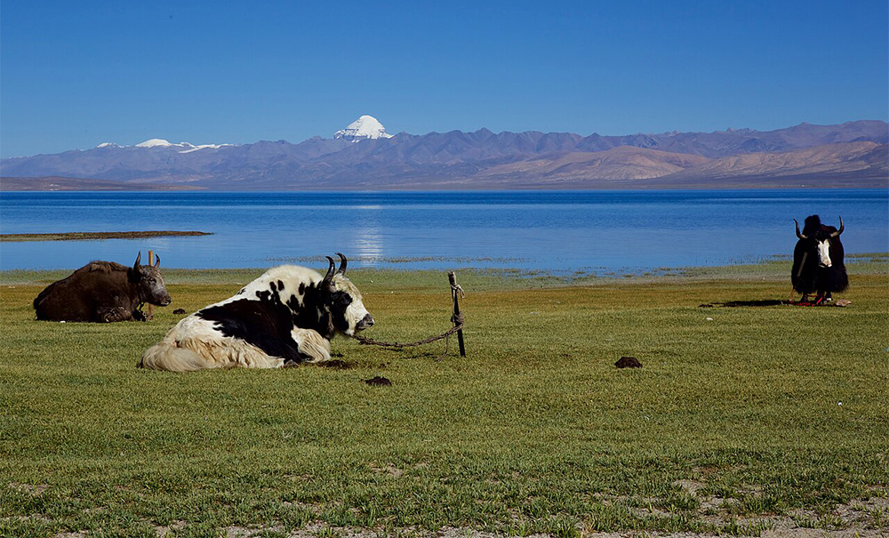 कोरलाबाट मानसरोवर जाने मार्ग खुलाउन पहल