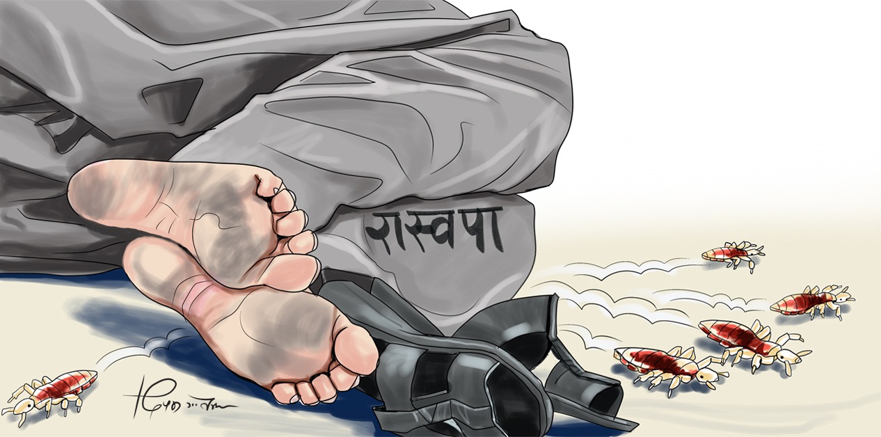 कार्टुन