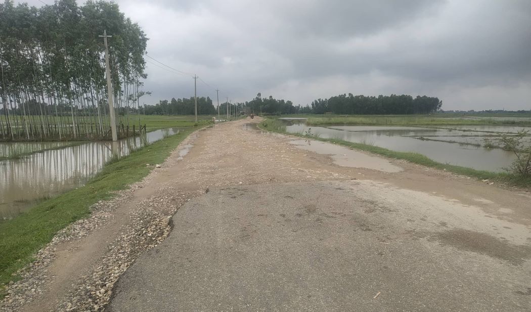 परसपुर–गौघाट सडक स्तरोन्नतिले गति लिँदै