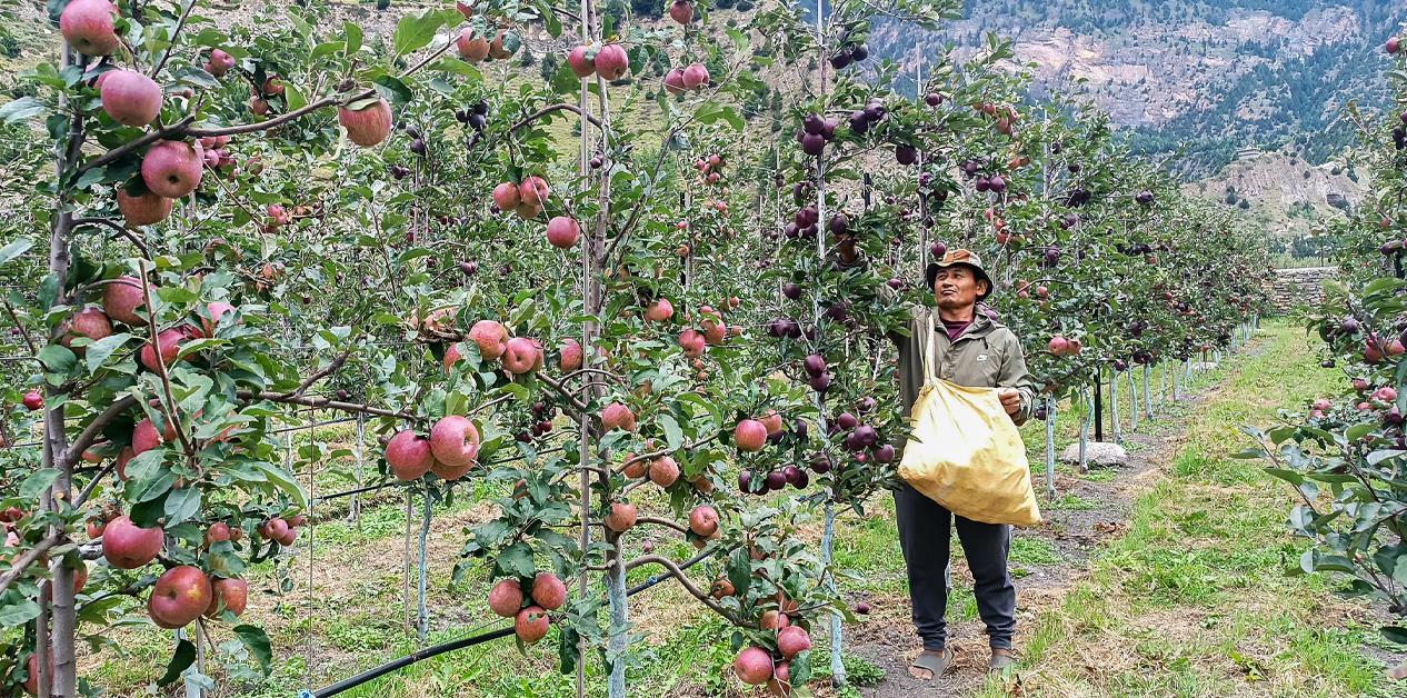 मुस्ताङ : जति सुन्दर, उति धनी