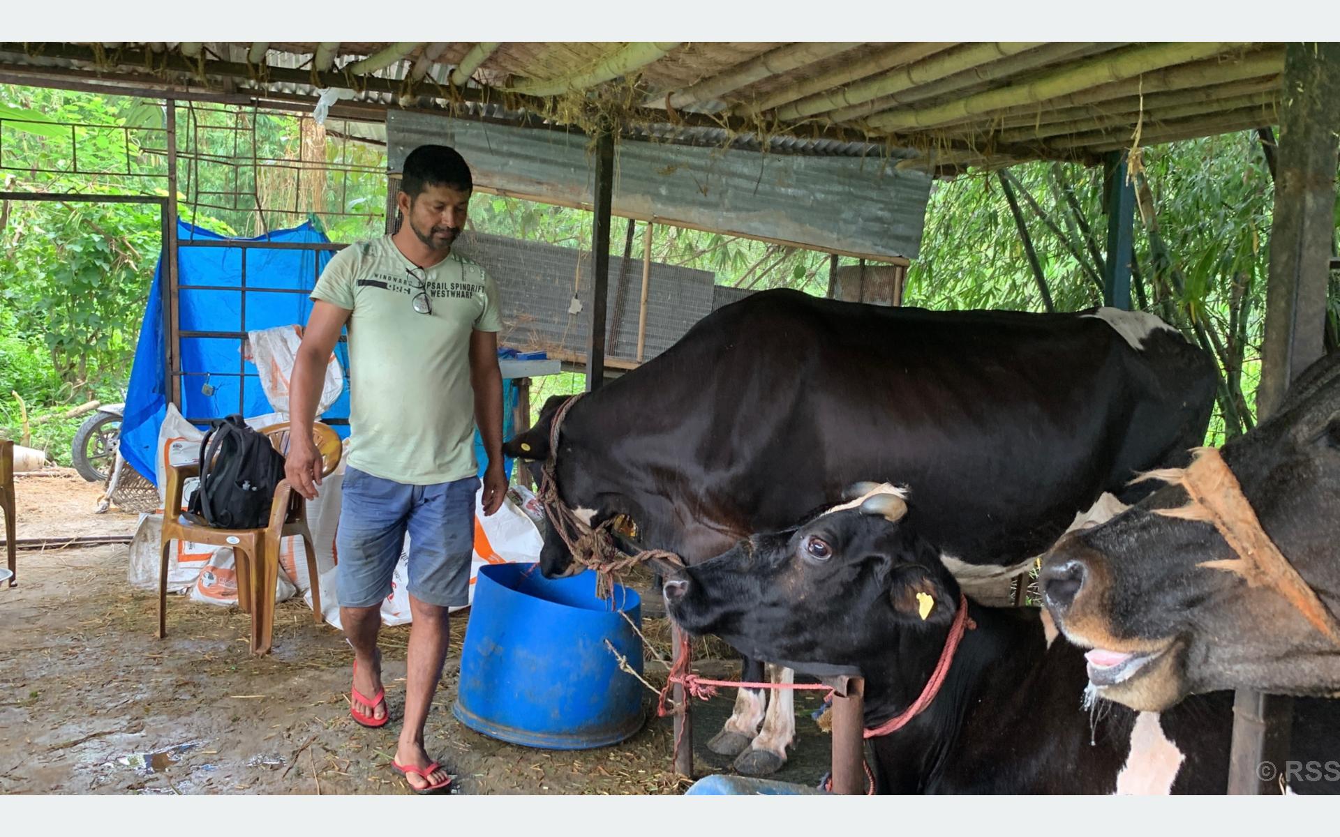 पसिनाका गन्धमा सफलता खोज्ने तिवारीपसिनाका गन्धमा सफलता खोज्न तिवारी