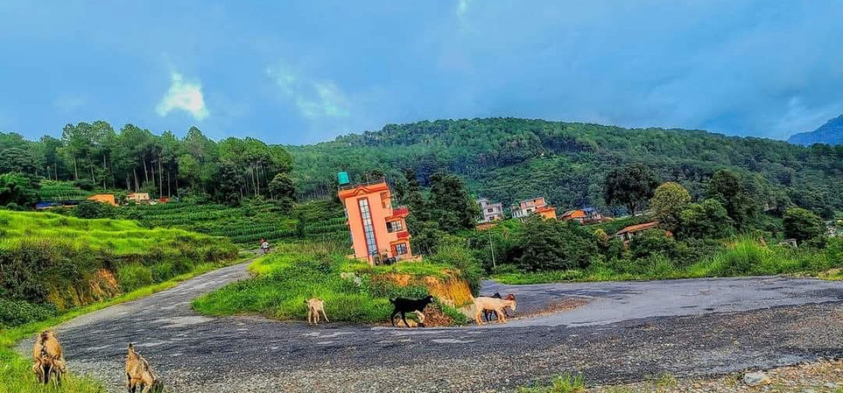 ताथलीगढी र हलालगाउँ आन्तरिक पर्यटकको गन्तव्य बन्दै