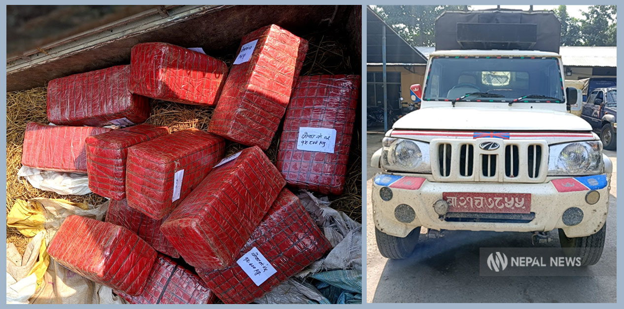 १७६ किलो गाँजासहित चालक पक्राउ