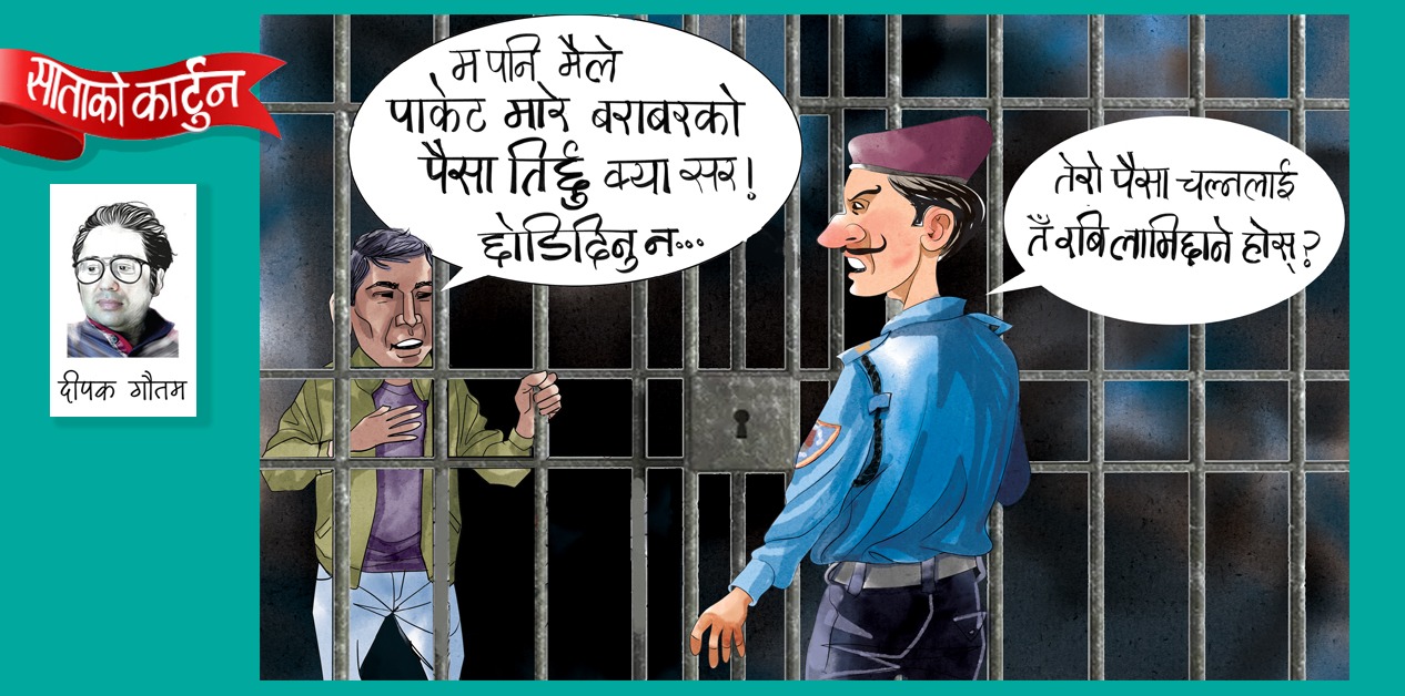 साताको कार्टुन