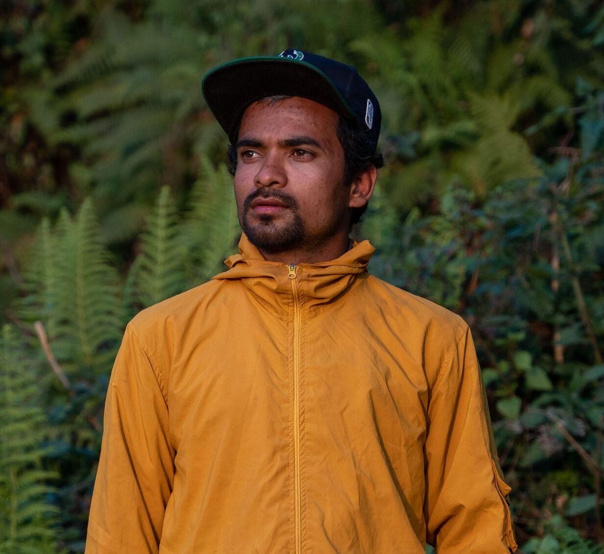 मनोज बोहरा