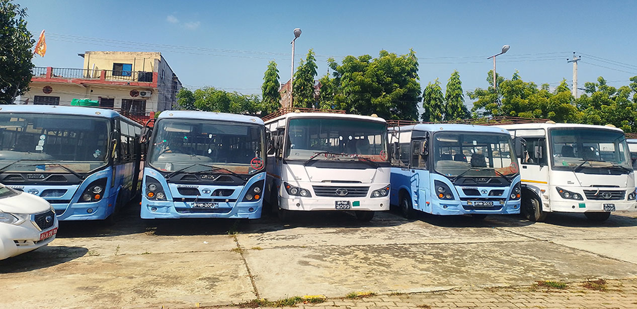 किन थन्किए सातवटा नगरबस?