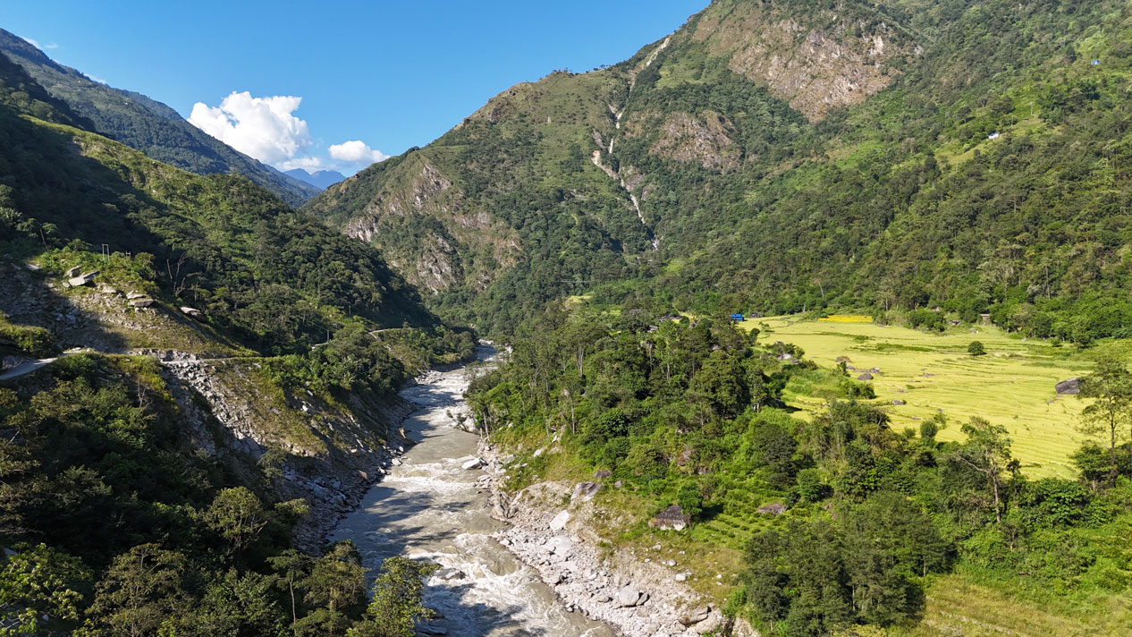 माथिल्लो अरुण बनाउन दुई हजार रुख काटियो