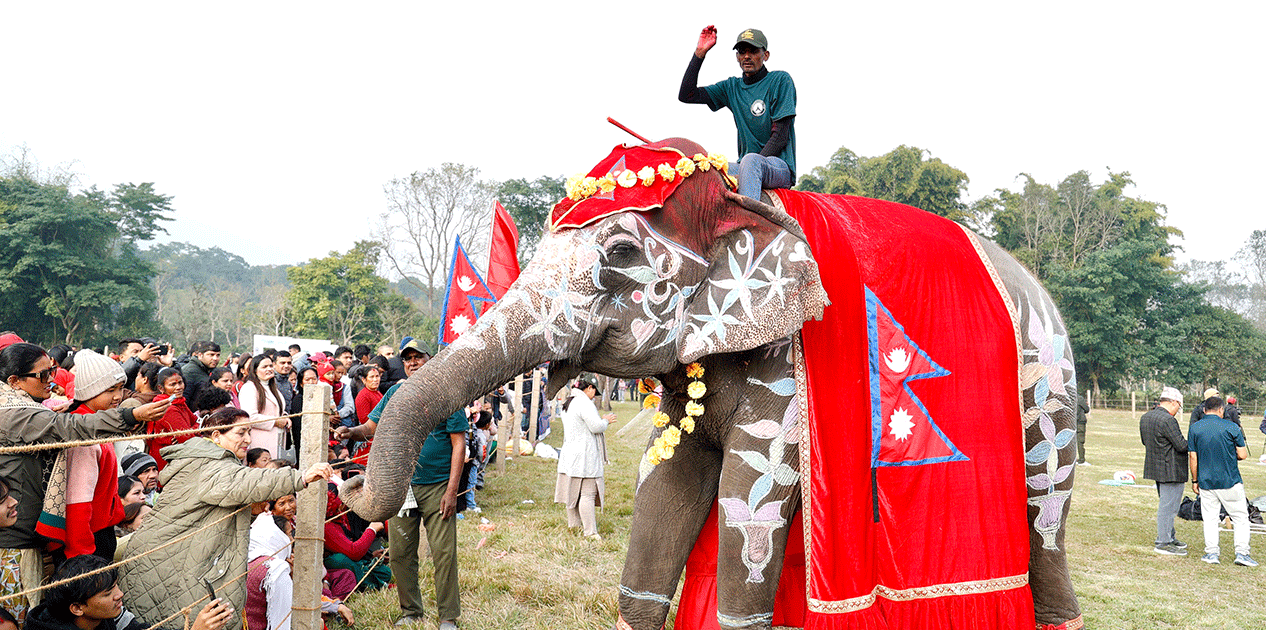चालीस वर्षीया पुनमकली बनिन् ‘मिस हात्ती सुन्दरी-२०८२’
