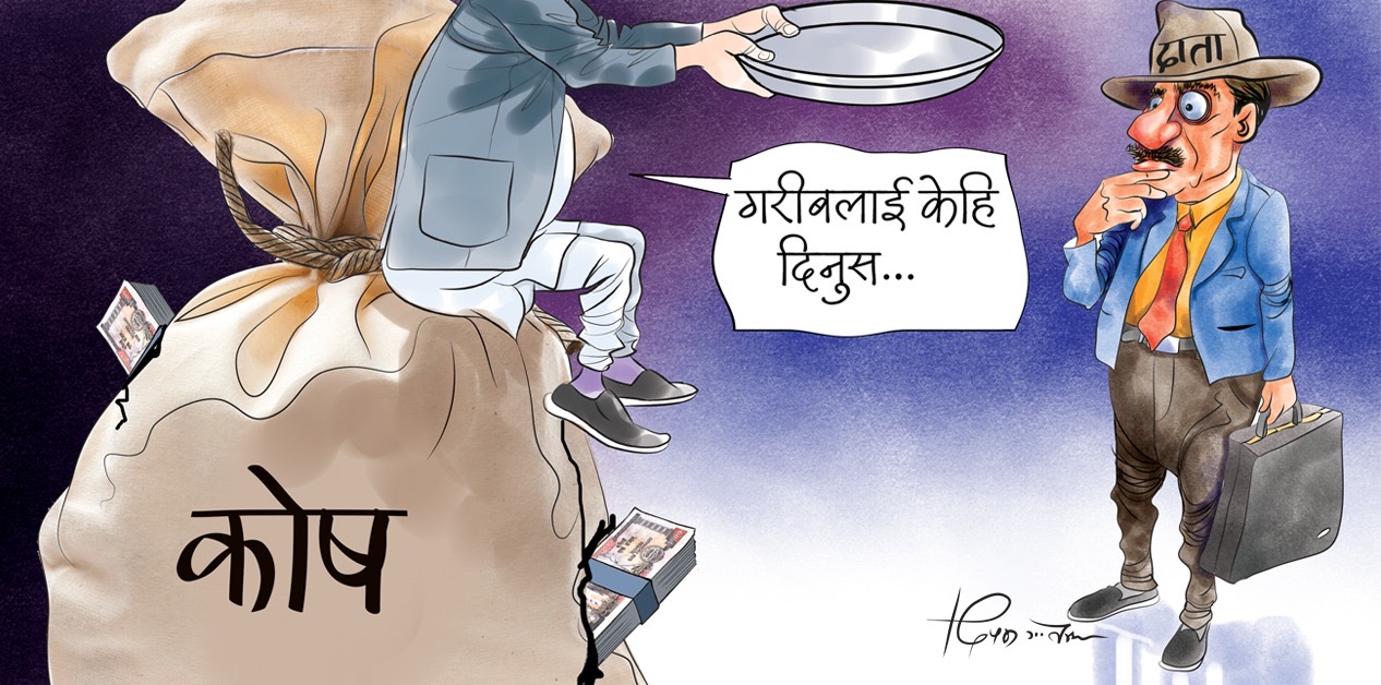 सरकारी कोषमा पैसाको थुप्रो, छैन हरहिसाब