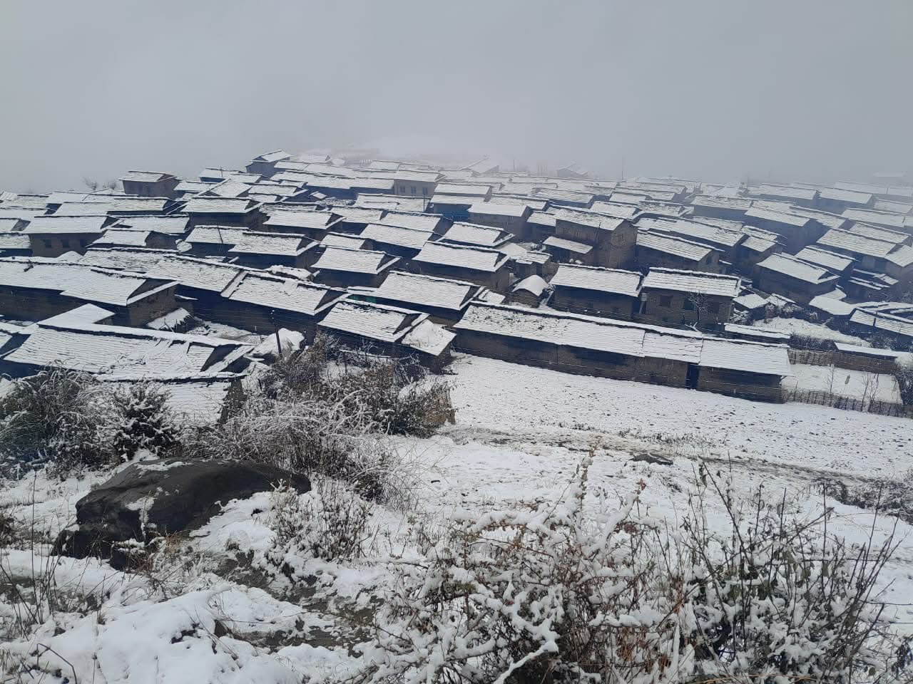 म्याग्दीको गुुर्जा र घोडेपानीमा हिमपात