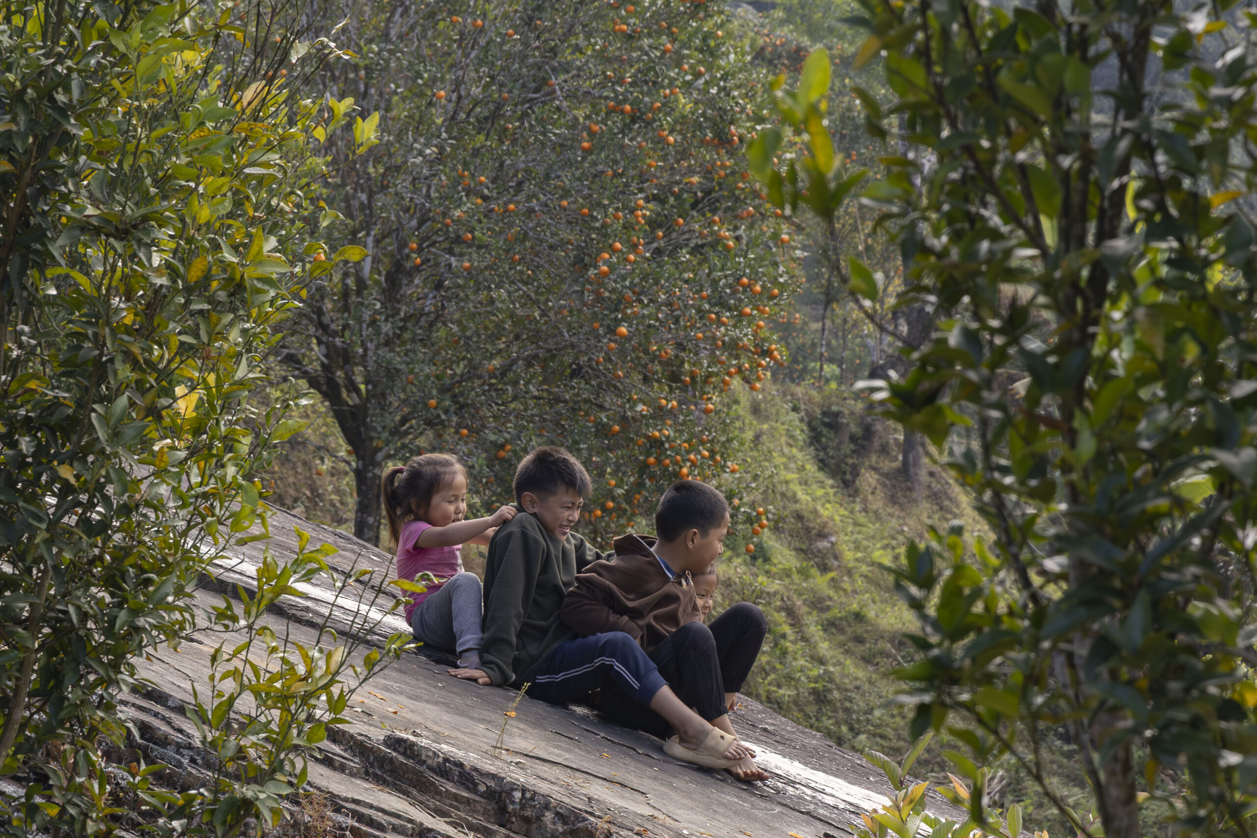 सुन्तला उद्यानको मृदु मुस्कान