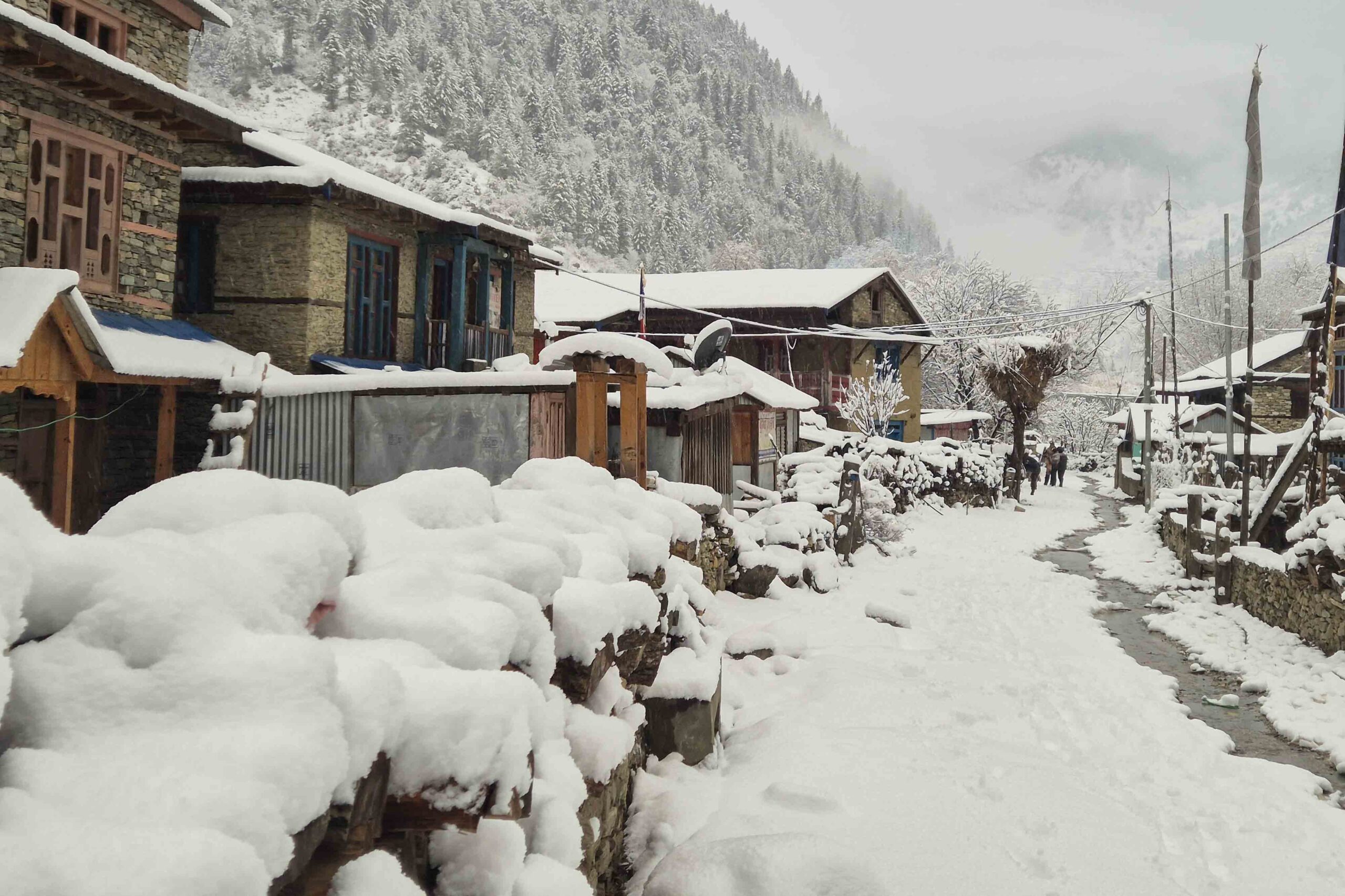 हिउँले सेताम्मे बन्यो डोल्पाको काइगाउँ‚ जनजीवन प्रभावित