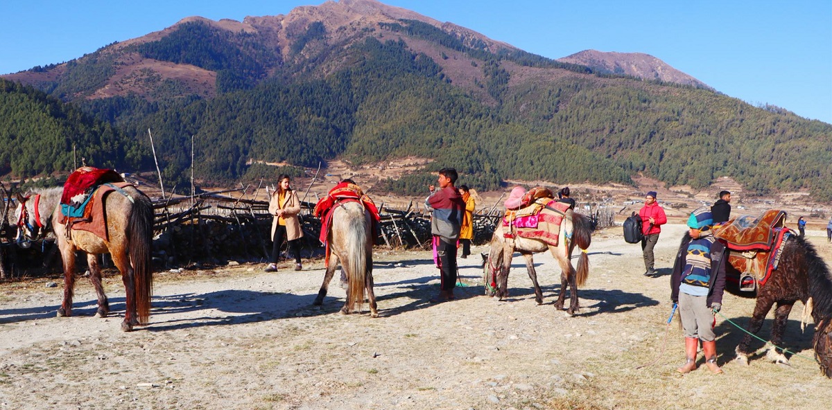 चिसो बढे पनि ढोरपाटनमा घटेन पर्यटकको चहलपहल