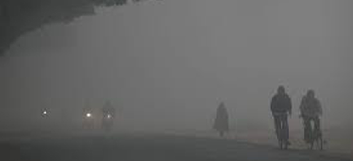 बाक्लो हुस्सु र कुहिरोले पश्चिम तराईको जनजीवन प्रभावित