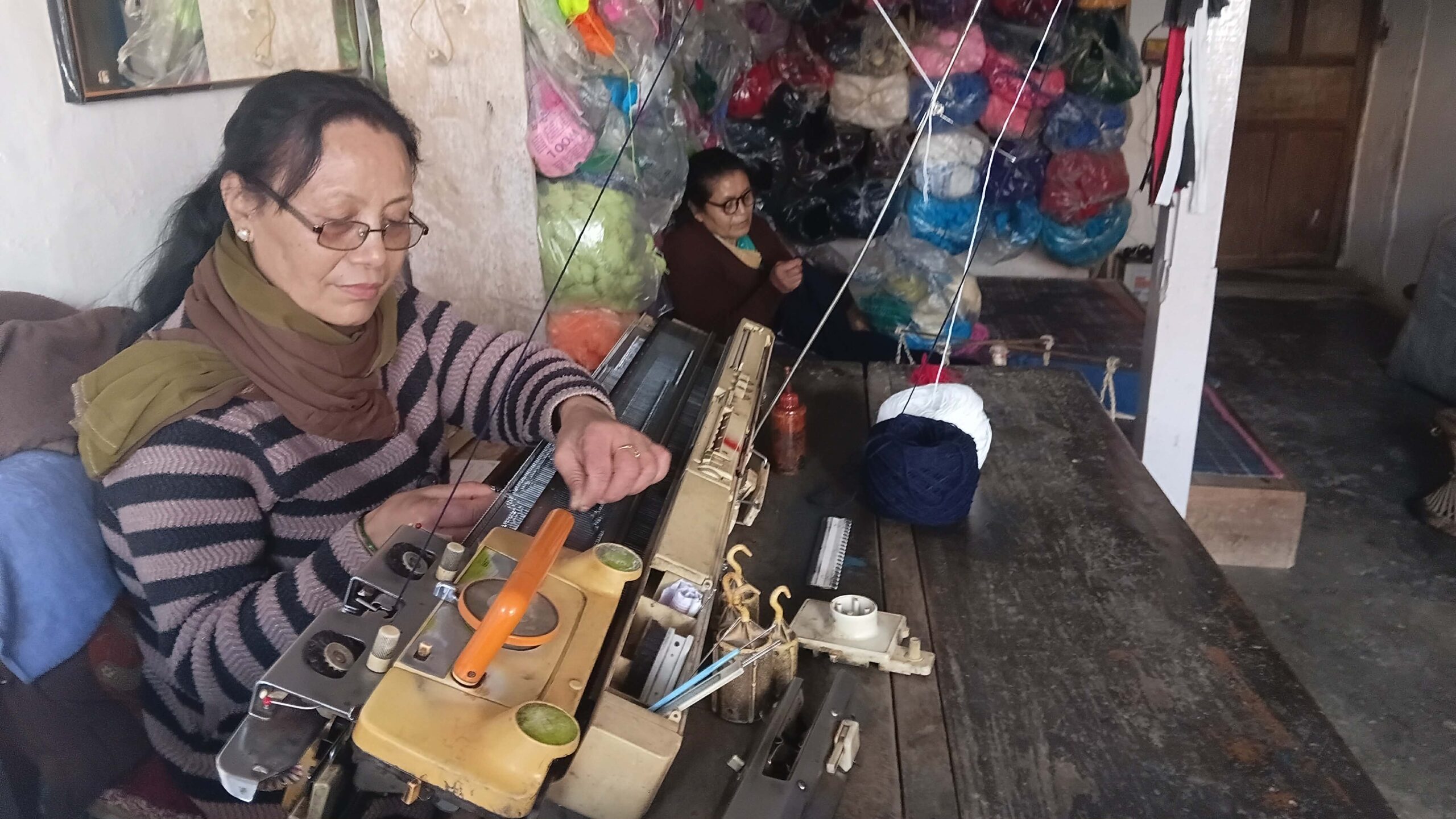 घरेलु उद्यममा व्यस्त भोजपुरका दुई दिदीबहिनी