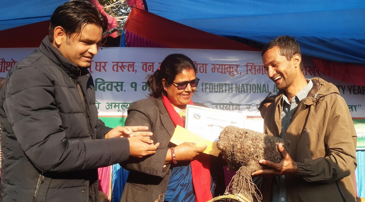 पोखरामा बृहत् कन्दमूल प्रदर्शनी