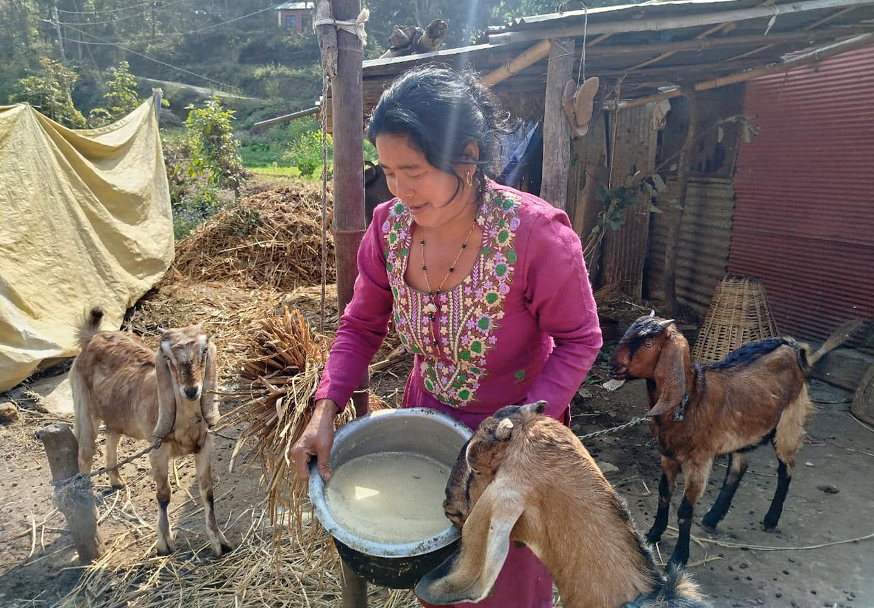 छिमेकी राजधानीले समेत नसुनेको तिमालबेसीको व्यथा