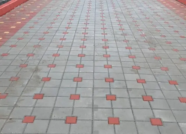 निकुञ्जभित्र सडकमा मोज्याकको काम सुरु