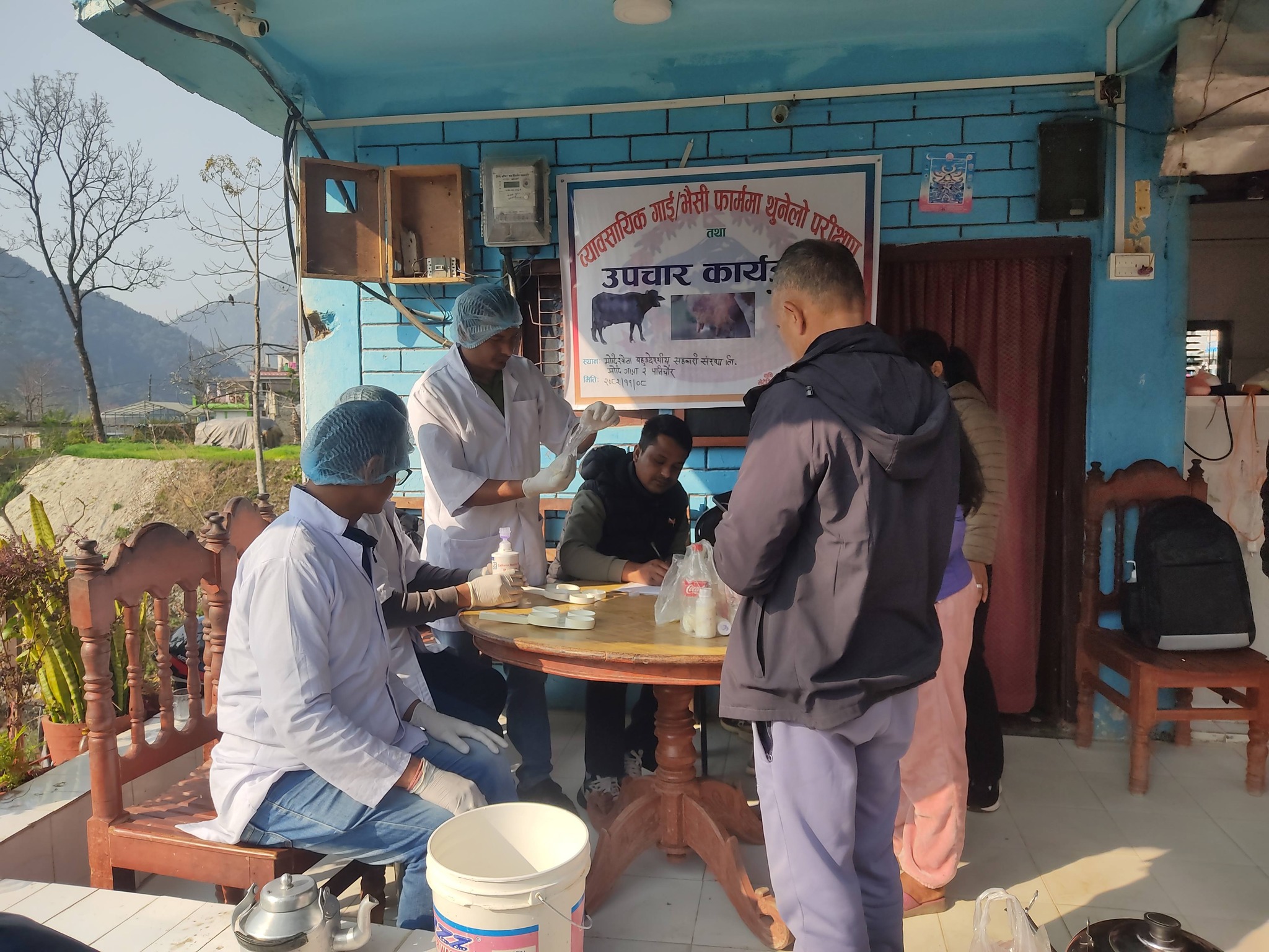 गाईभैँसीमा थुनेलो रोग