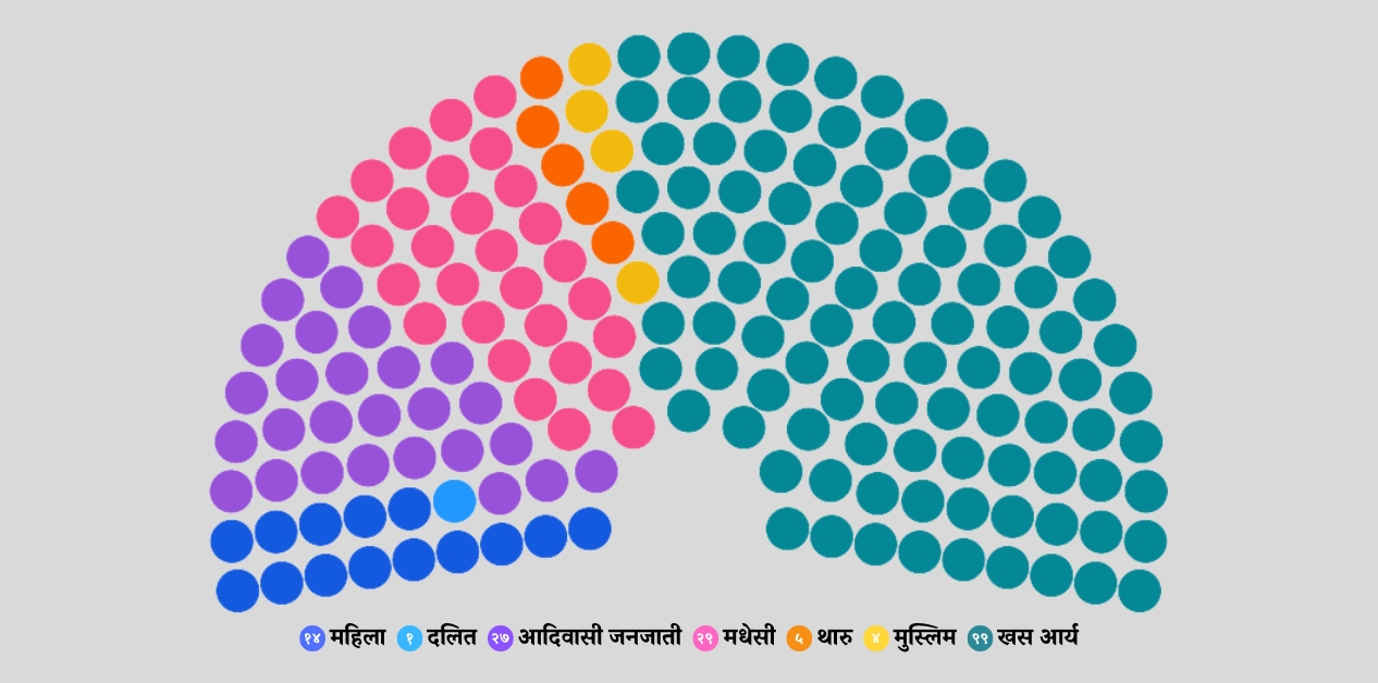 संविधानको मर्म एकातिर, प्रतिनिधित्व अर्कातिर