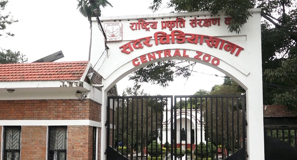 चिडियाखानाको पोखरीमा डुबेर एकजनाको मृत्यु