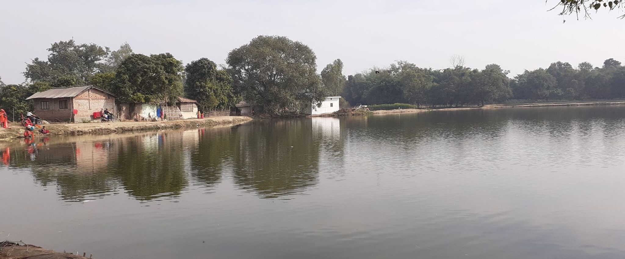 वन्यजन्तु संरक्षण गर्न कृत्रिम ताल निर्माण