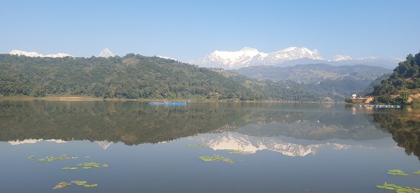 रुपातालमा १० हजार जातका माछाका भुरा छाडियो