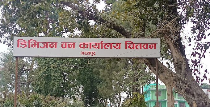 देव वृक्ष उत्पादन गर्दै डिभिजन वन कार्यालय